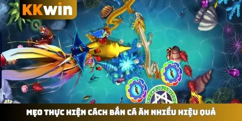 Mẹo thực hiện cách bắn cá ăn nhiều hiệu quả