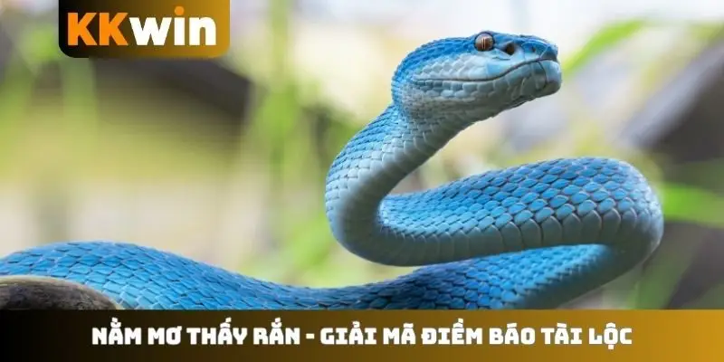 Nằm mơ thấy rắn